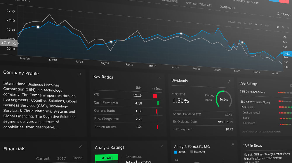 Financial analytics dashboard — fundamentals explorer with charts and metrics